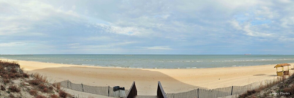 Beach/Ocean View