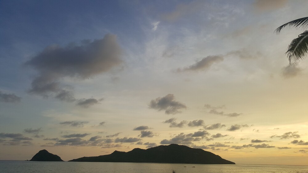 Guestroom View