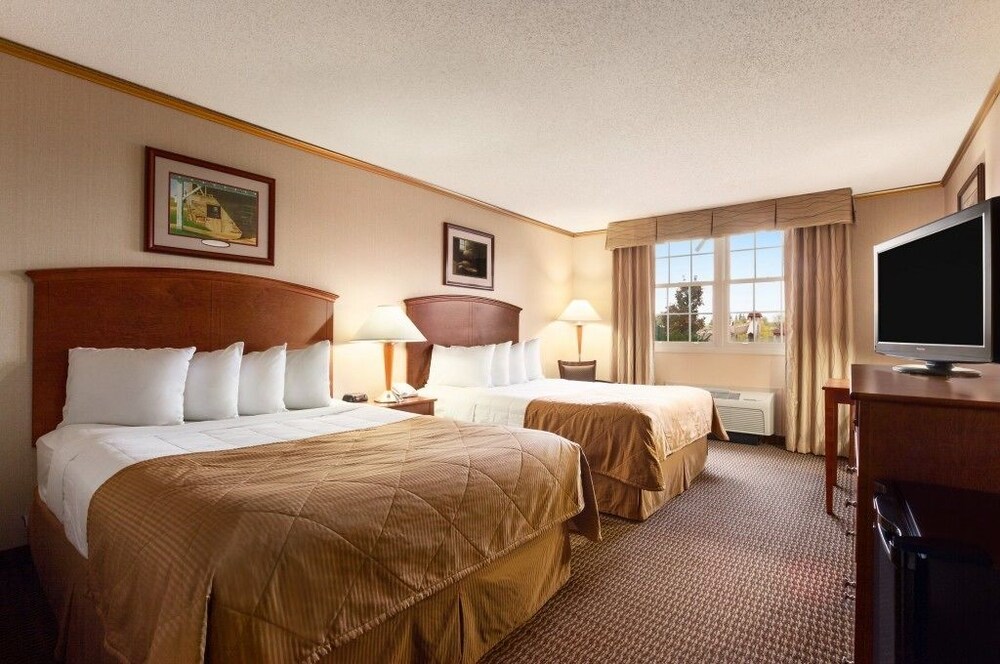 Guestroom View