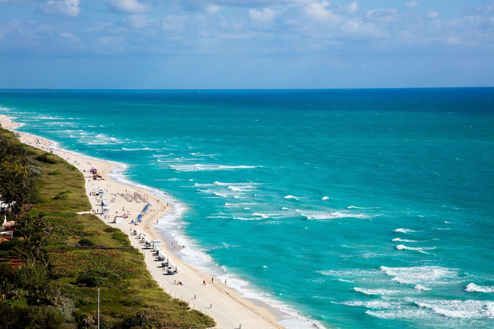 View from property, Eden Roc Miami Beach