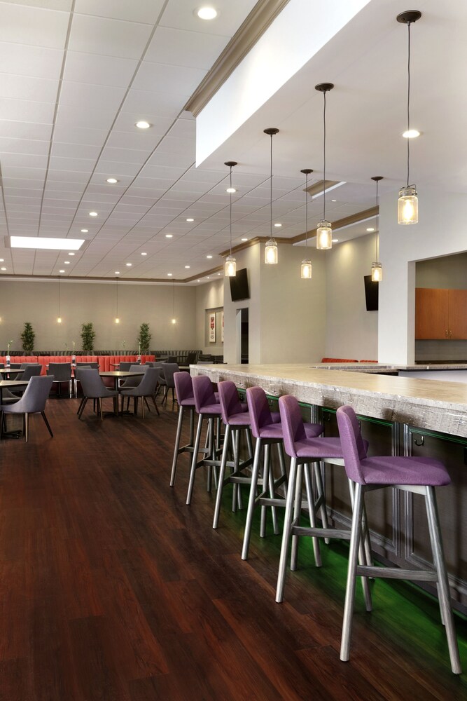 Bar del hotel