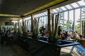 Hotel Lounge