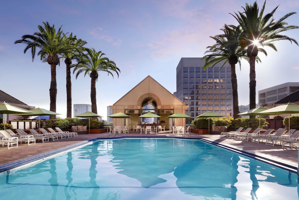 Rooftop Pool