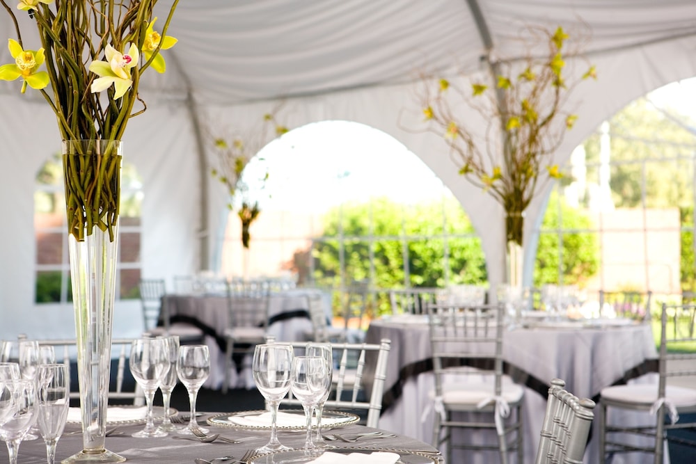 Outdoor Wedding Area