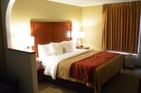 Suite, 1 King Bed with Sofabed, Non Smoking