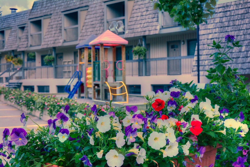 Childrens Play Area - Outdoor