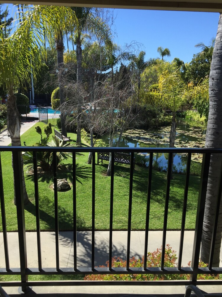 Guestroom View