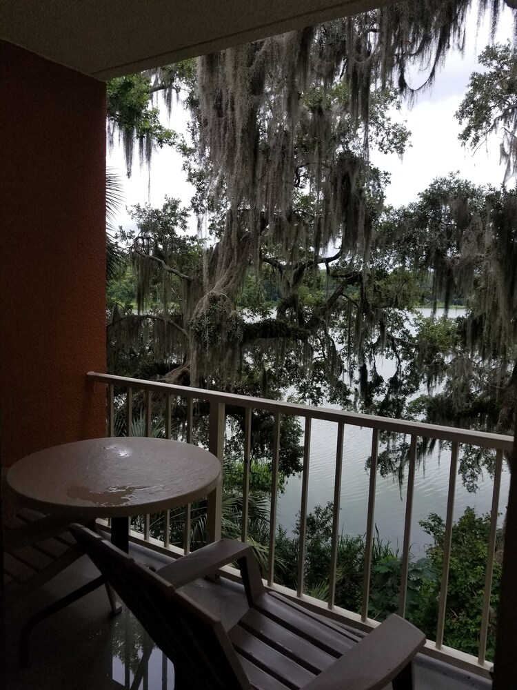 Guestroom View