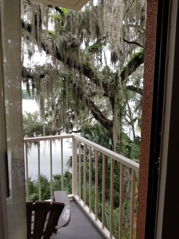 Guestroom View