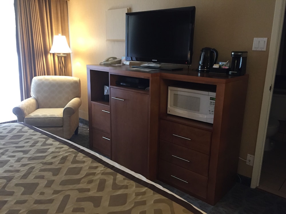 In-Room Amenity