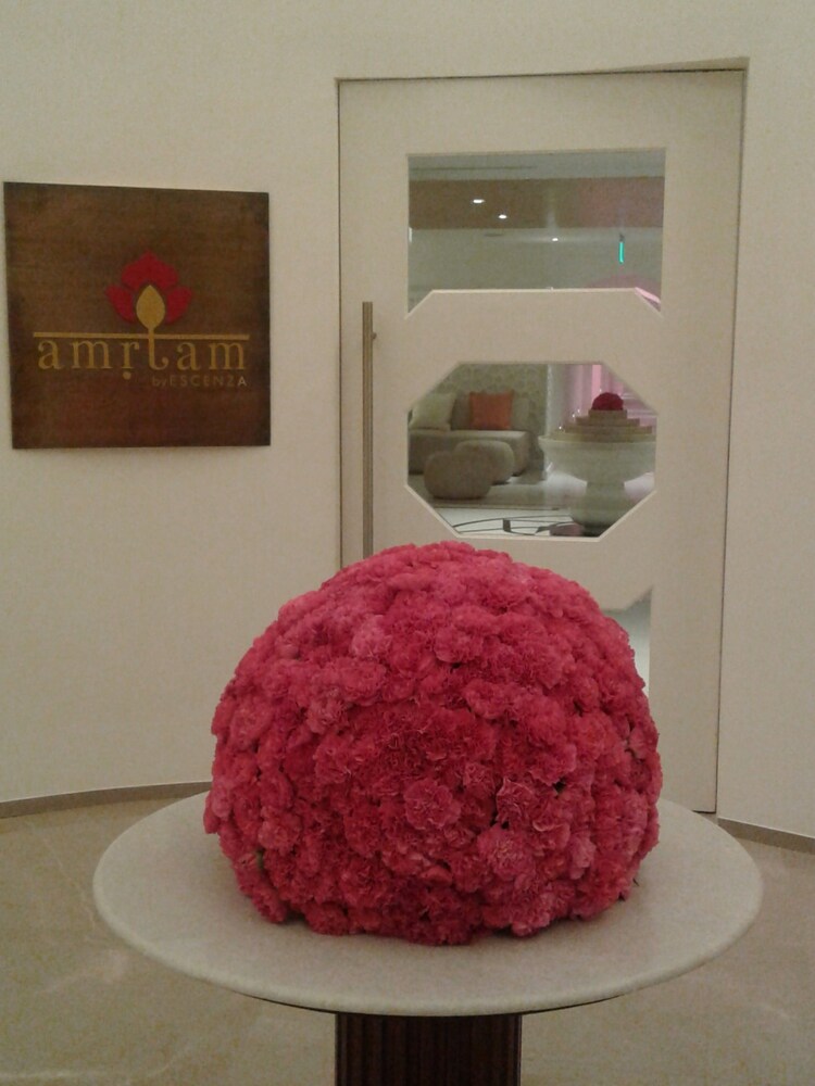 Spa Reception