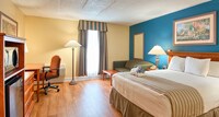 Room, 1 King Bed with Sofa bed