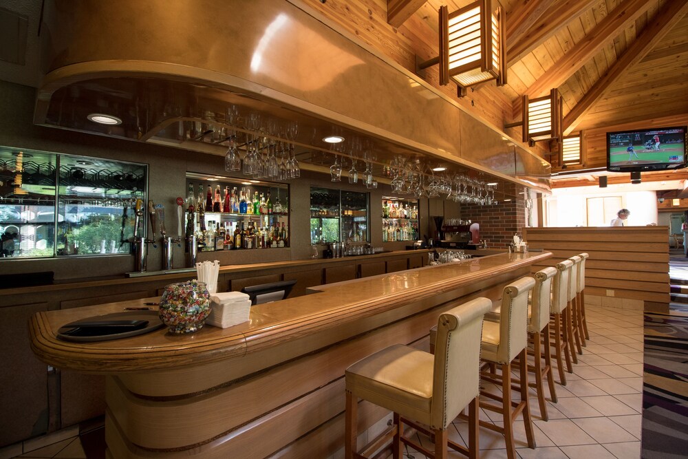 Hotel Lounge