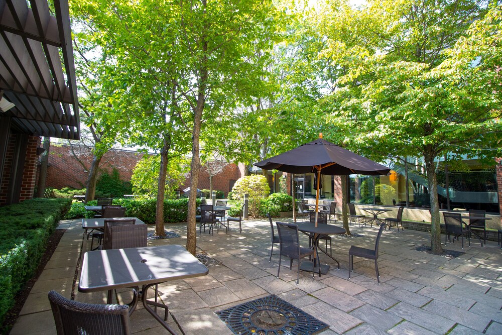 Courtyard View