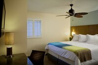 Studio, 1 King Bed