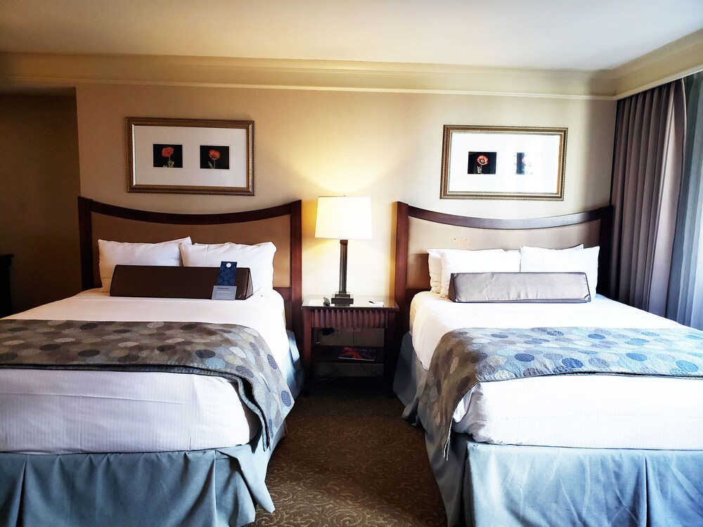 Guestroom View