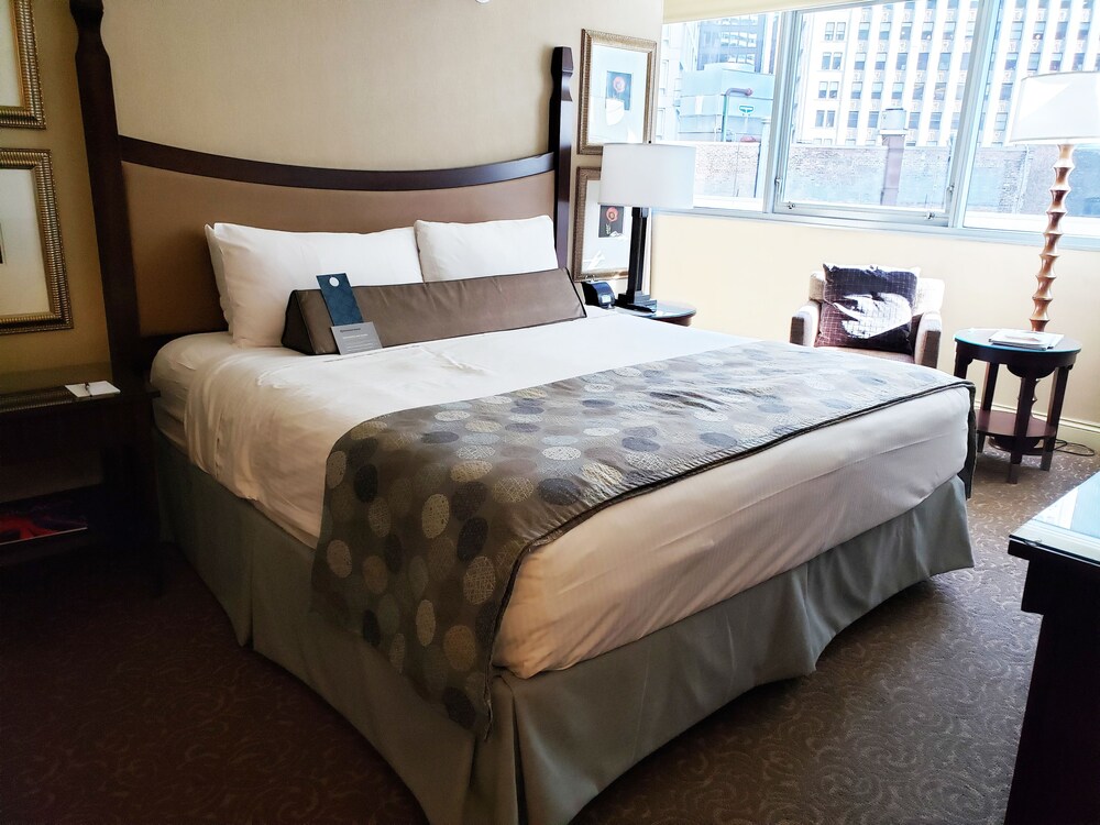 Guestroom View