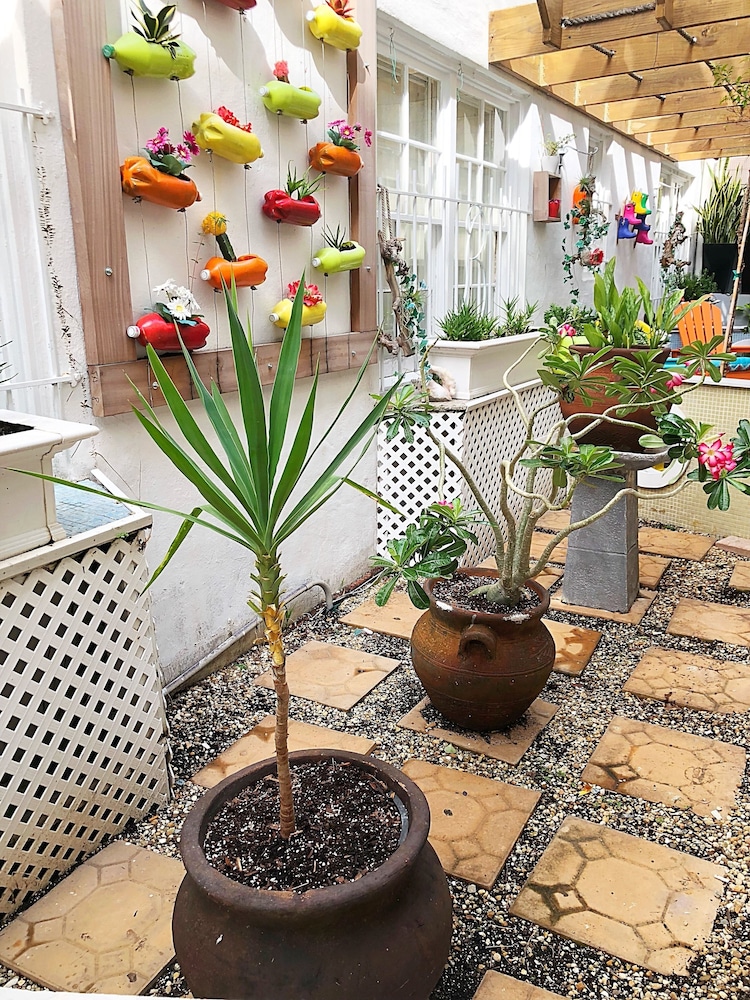 Garden, Beacon Hotel South Beach