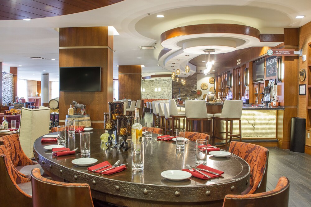 Hotel Bar