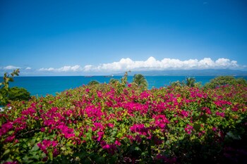 Beach/Ocean View