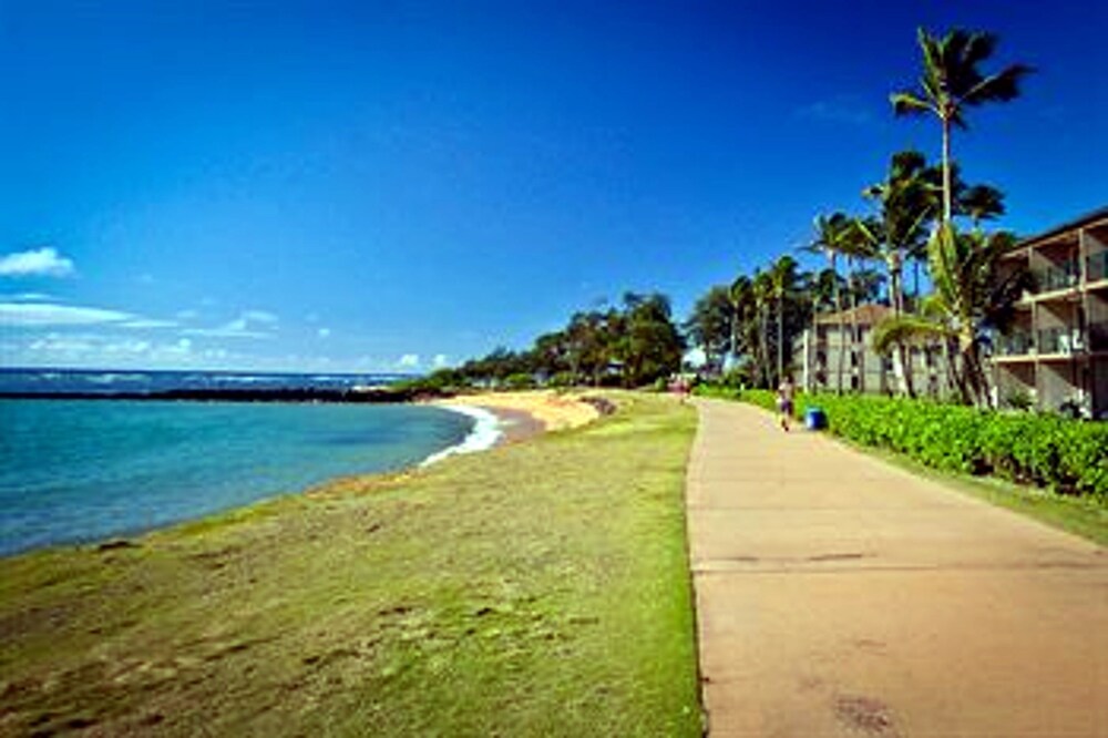 Beach/Ocean View