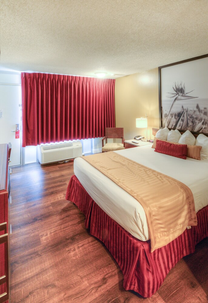 Guestroom View