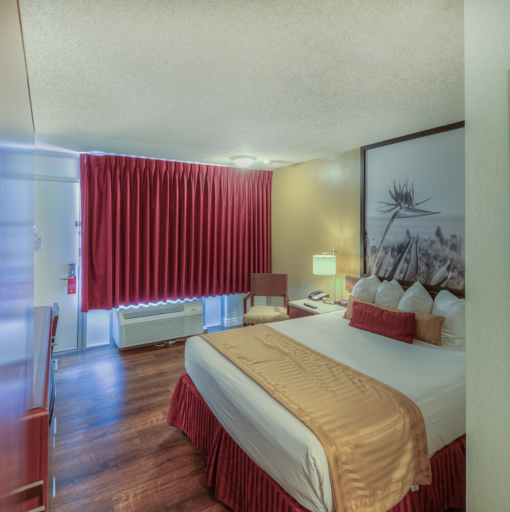 Guestroom View
