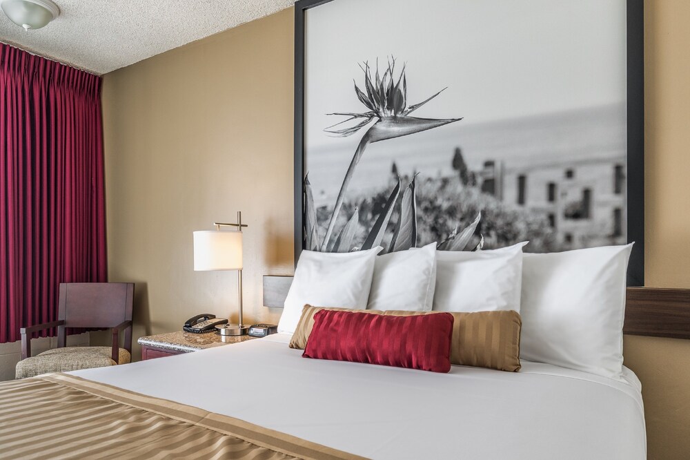 Guestroom View