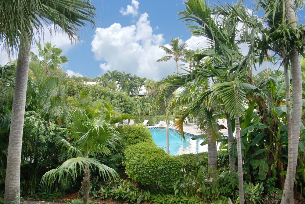 Guestroom View