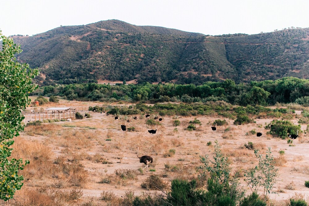 Ecotours