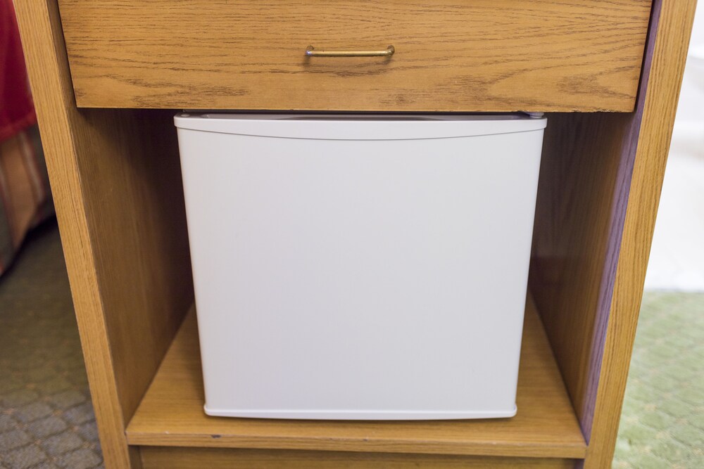 Mini-Refrigerator