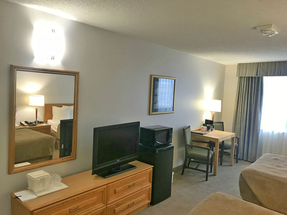 In-Room Amenity