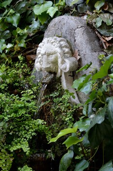 Fountain