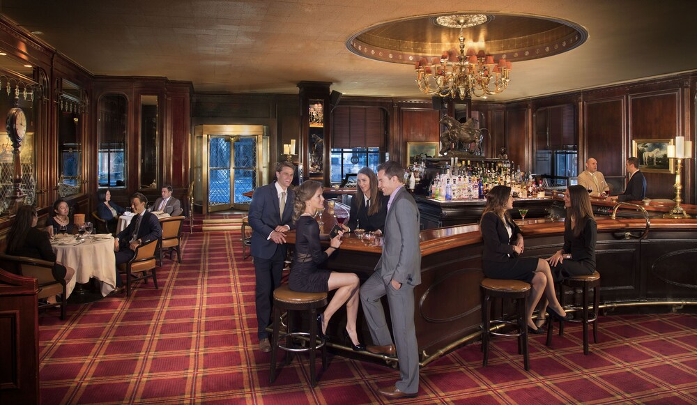 Hotel Bar