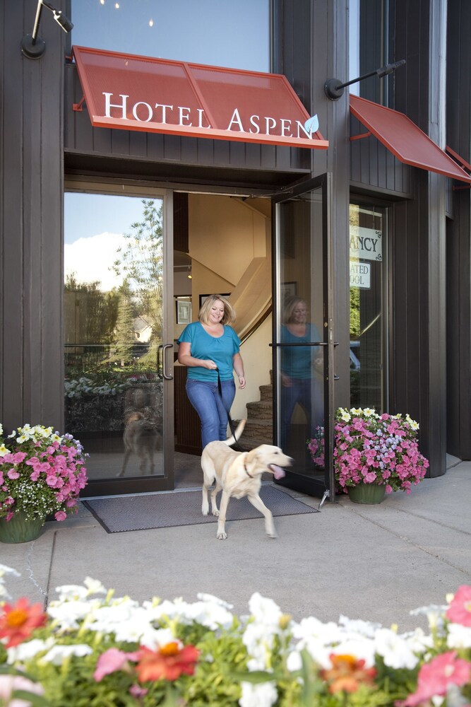 Pet-Friendly