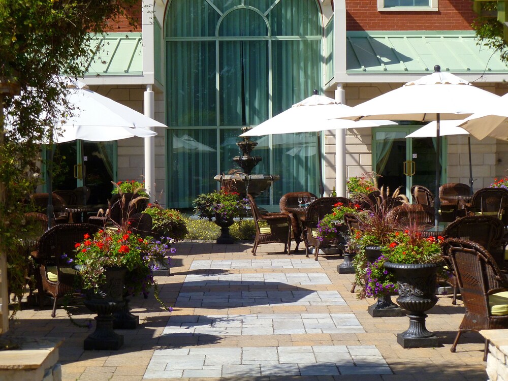 Restauration en plein air