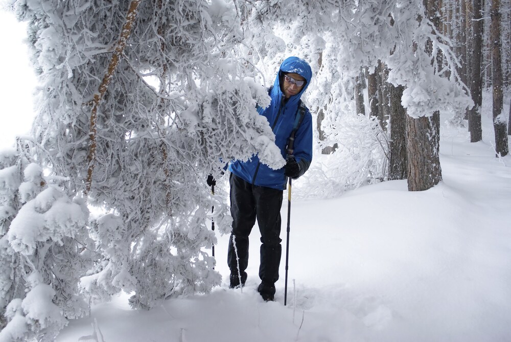 Sports d'hiver