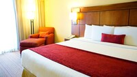 Standard Room, 1 King Bed with Sofabed