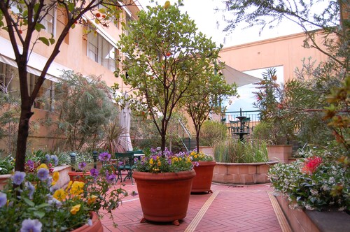 Arts Hotel - Paddington