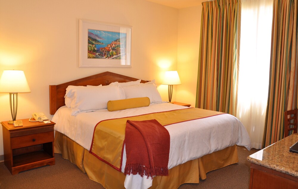 Studio Suite, 1 King Bed, Kitchenette - Guestroom