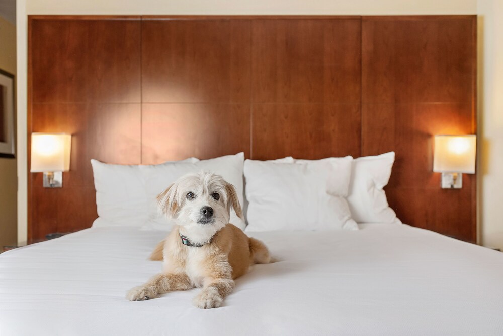 Pet-Friendly