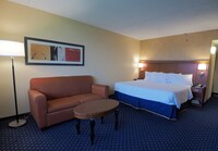 Room, 1 King Bed with Sofabed