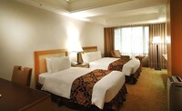 Deluxe Twin Room (Shower Only, no Bathtub)