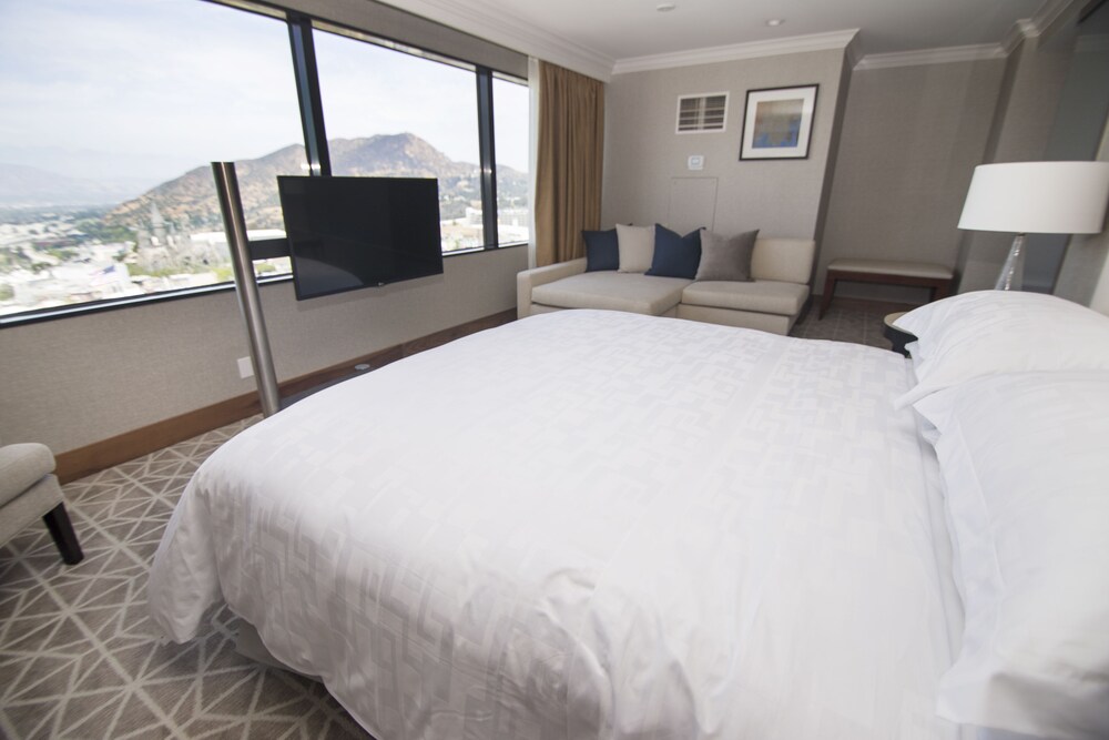 Guestroom View