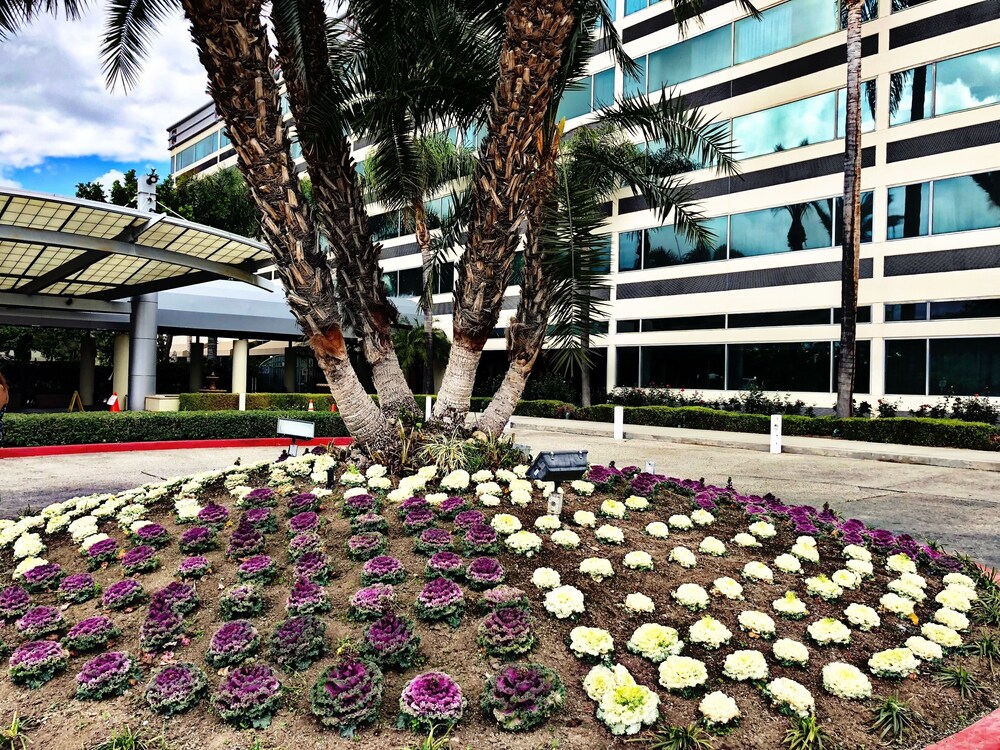 Hotel Front