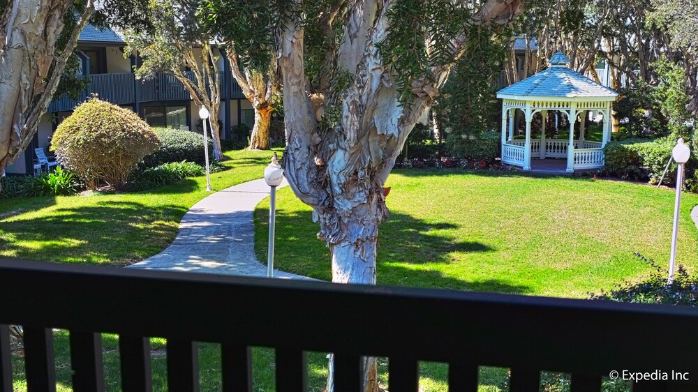 Guestroom View