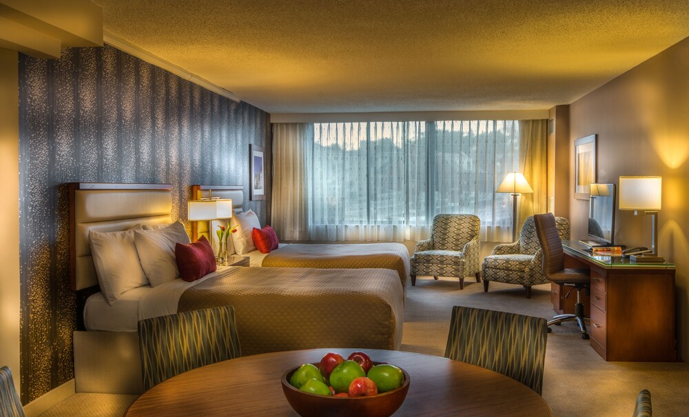 Suite, 2 Double Beds - Guestroom