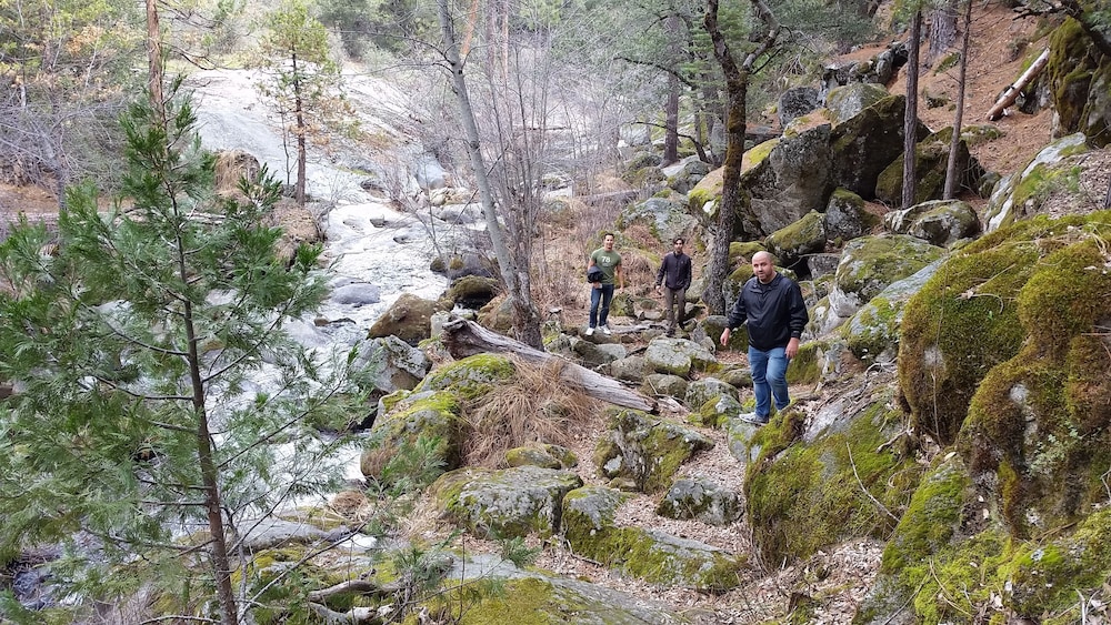 Hiking