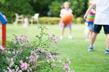 Childrens Play Area - Outdoor