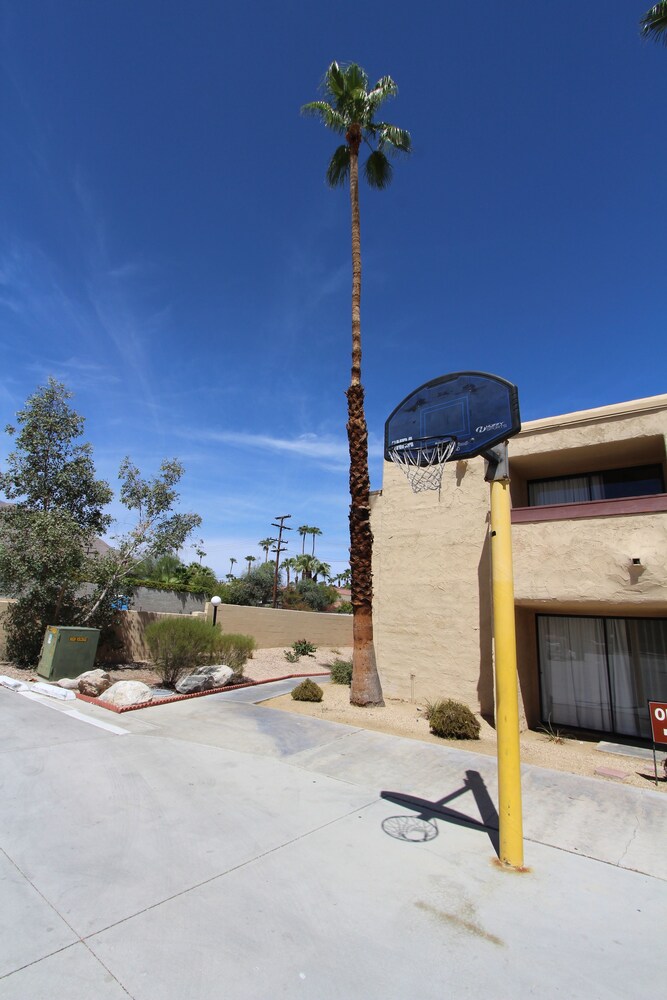 Basketball Court